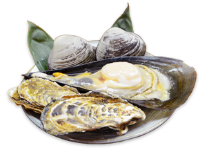 長崎産　タイラ貝の刺身（1ケ）
